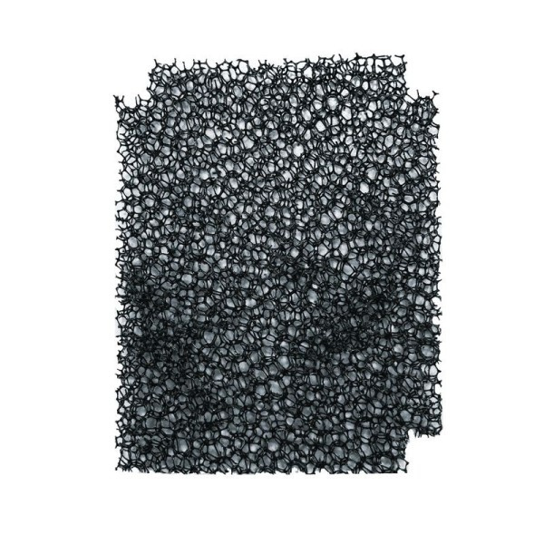 ASR-001